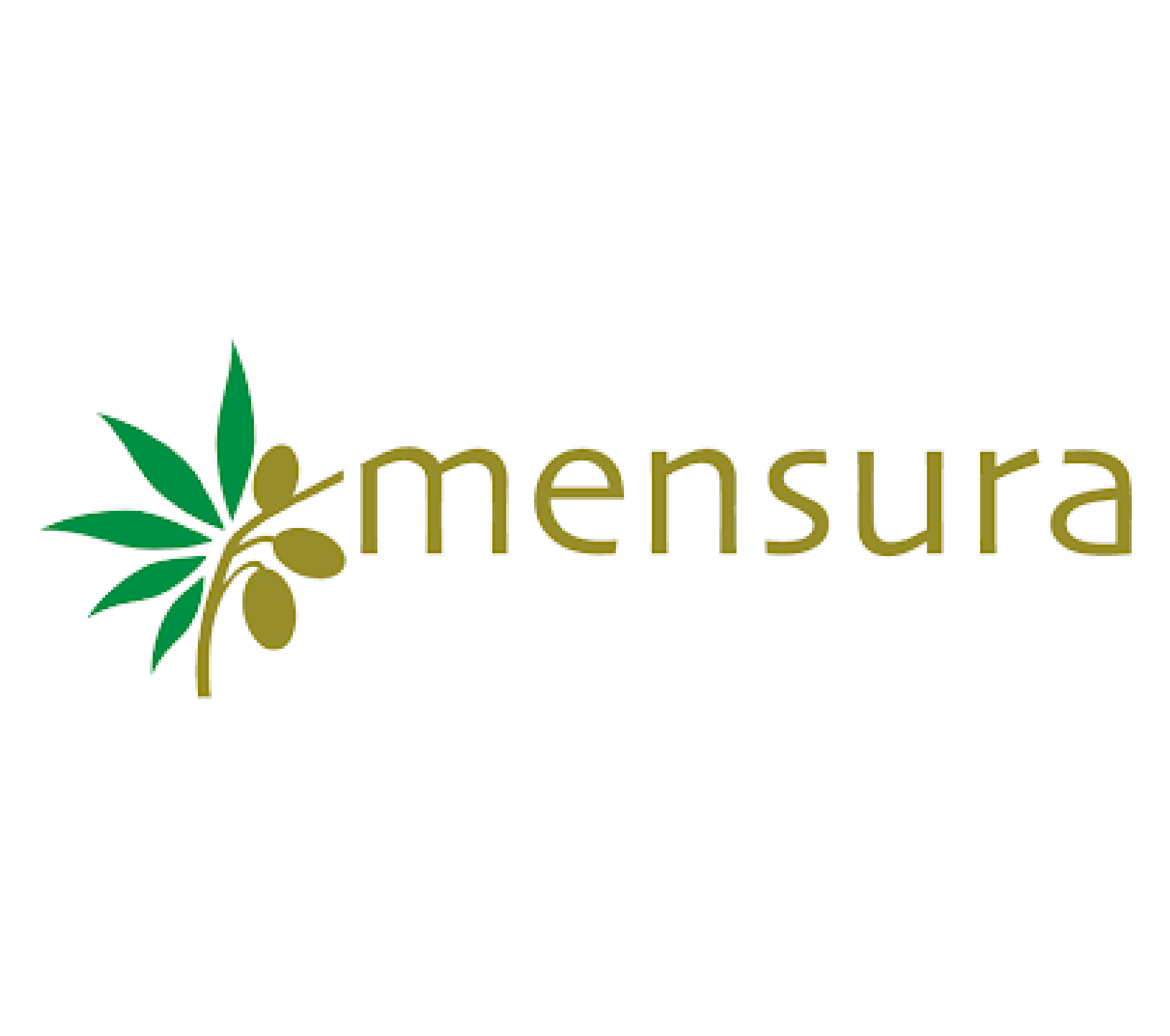 Logo-Mensura