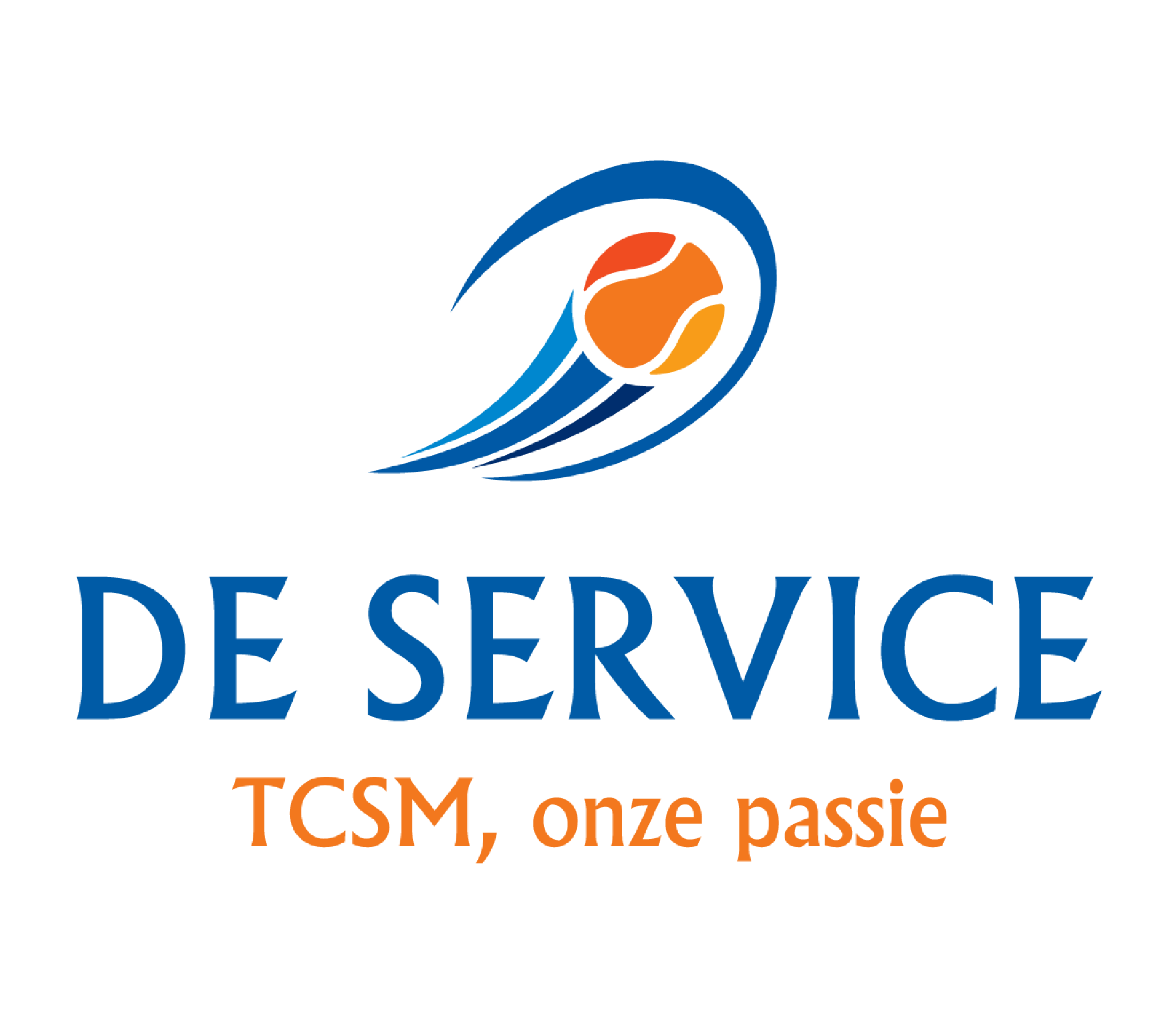Logo-TCSM